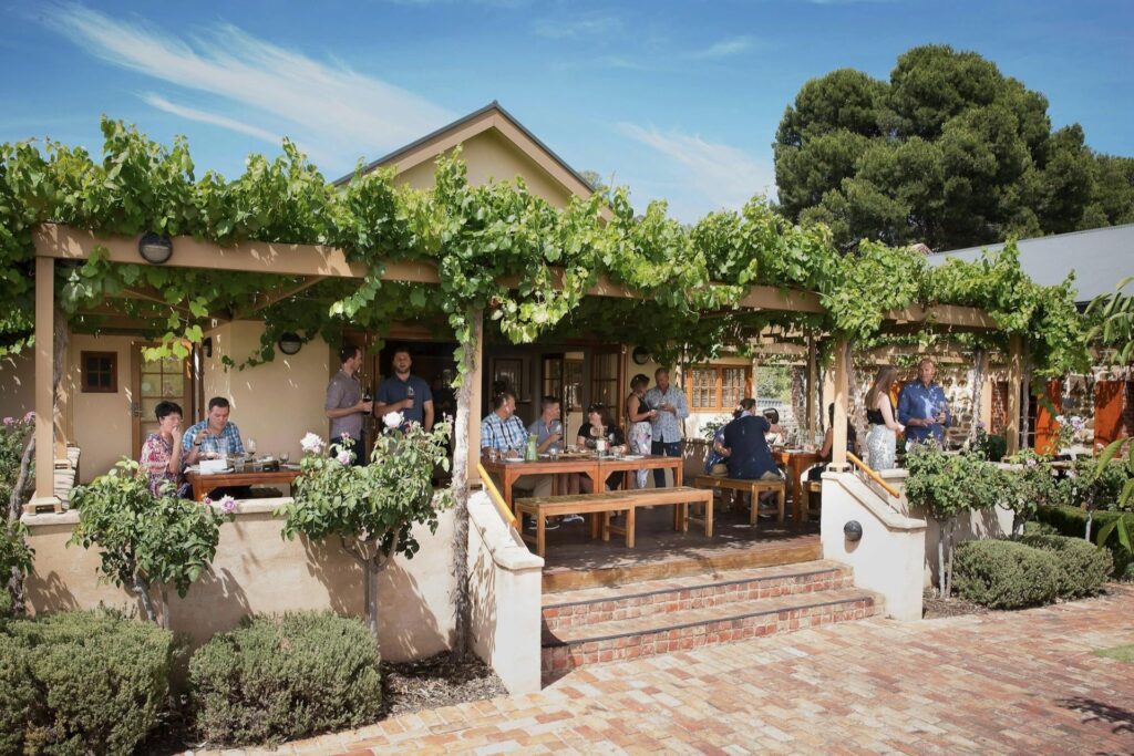 Murray Street Vineyards 2